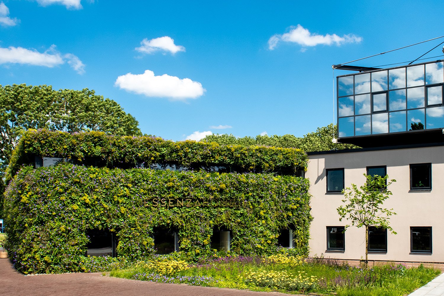 Modular living-wall panel system