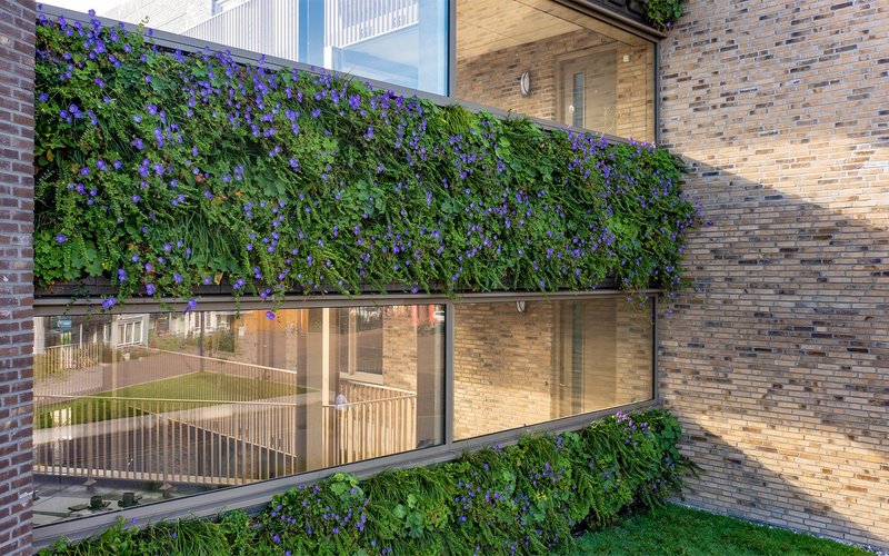 Living wall detail