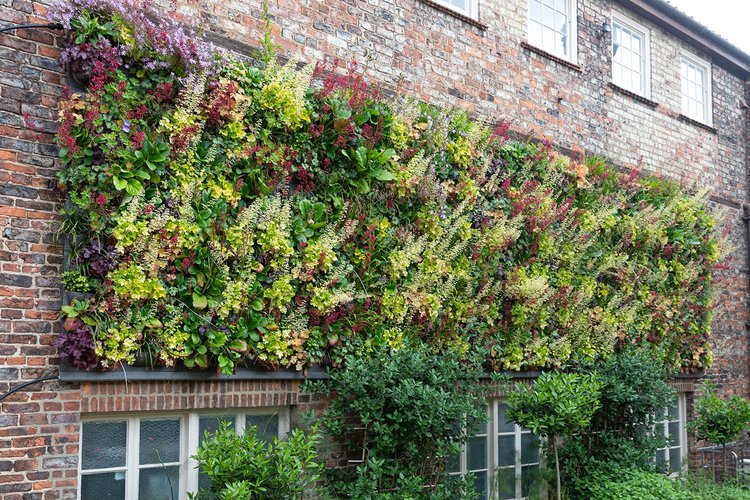 Exterior living wall on an office building