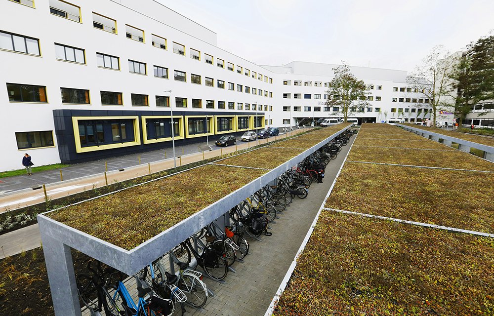 Green Sphere Roof detail
