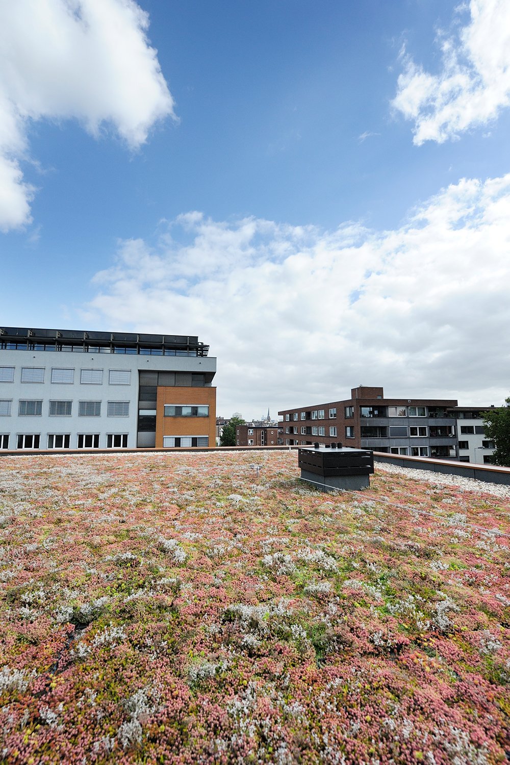 Green Sphere Roof detail