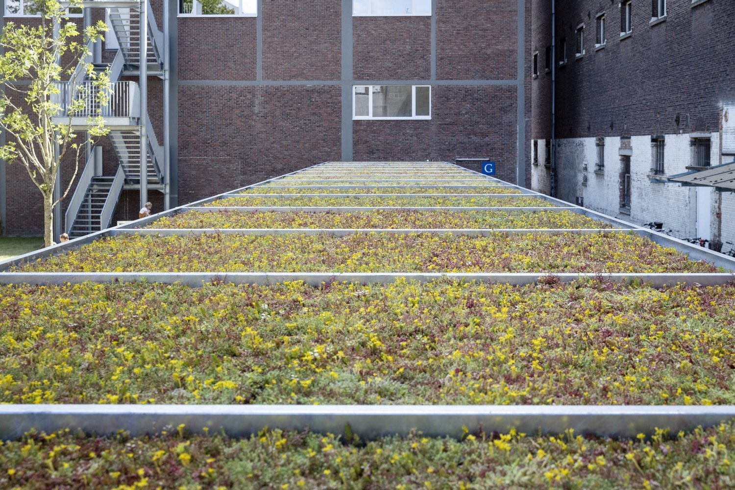 Green Sphere Roof detail