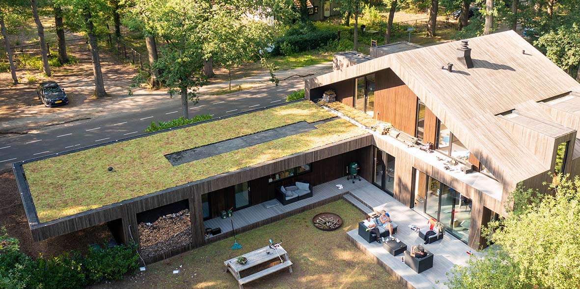 Green Sphere Roof detail