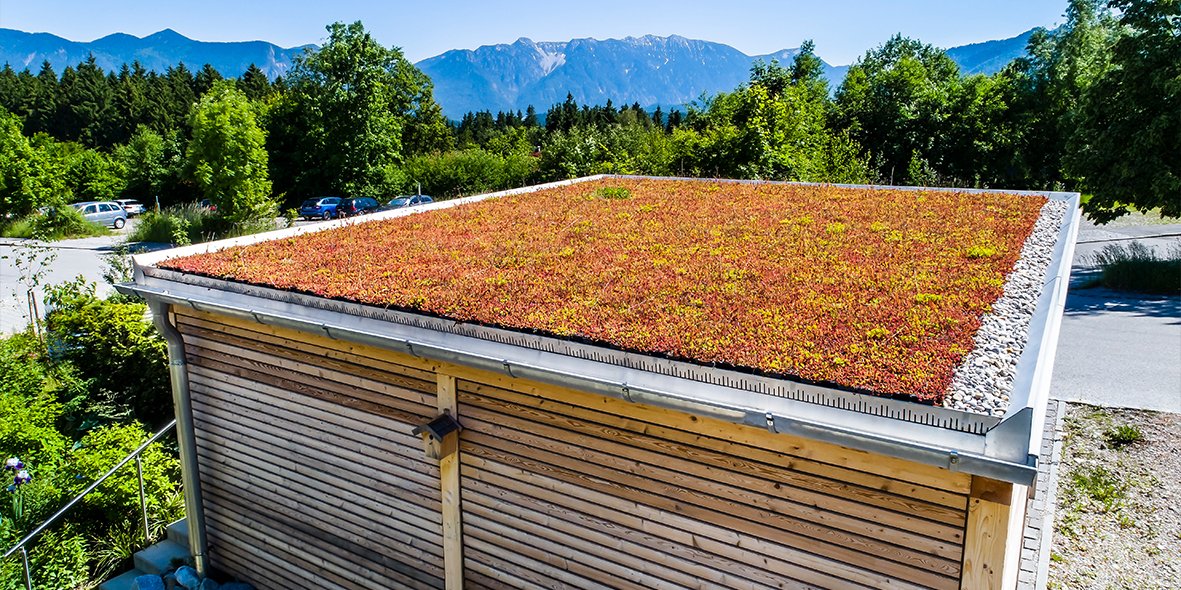 Green roof with sedum cassettes