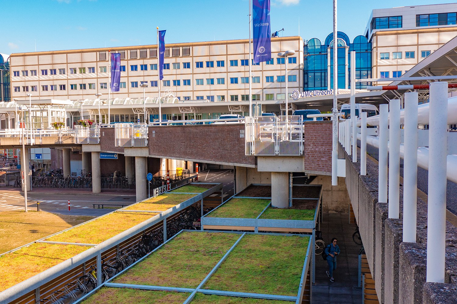 Green Sphere Roof detail