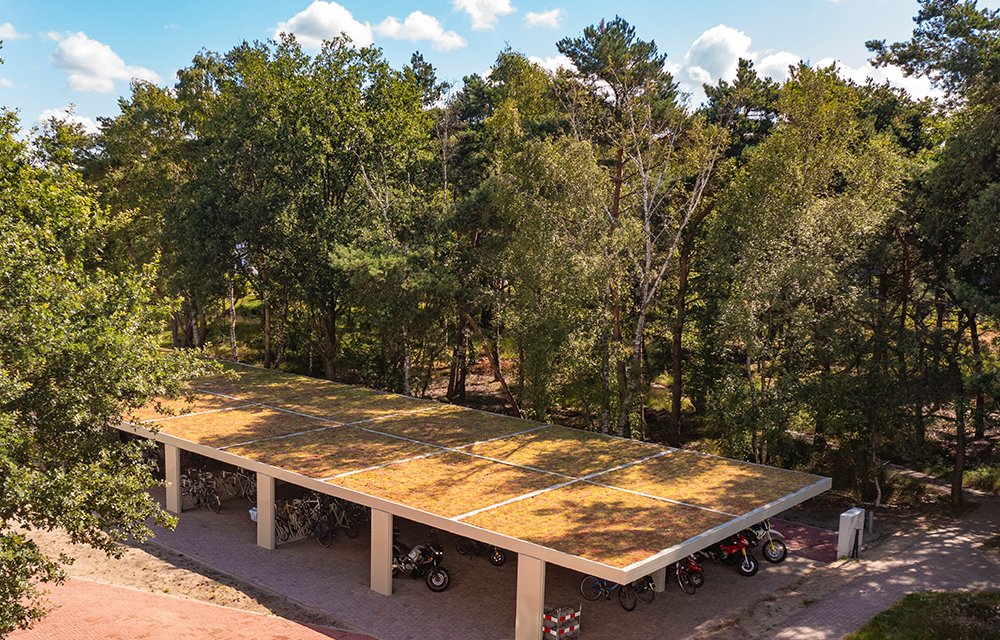 Green Sphere Roof detail