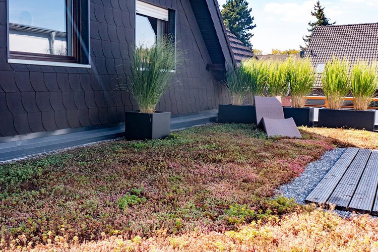 Green Sphere Roof detail