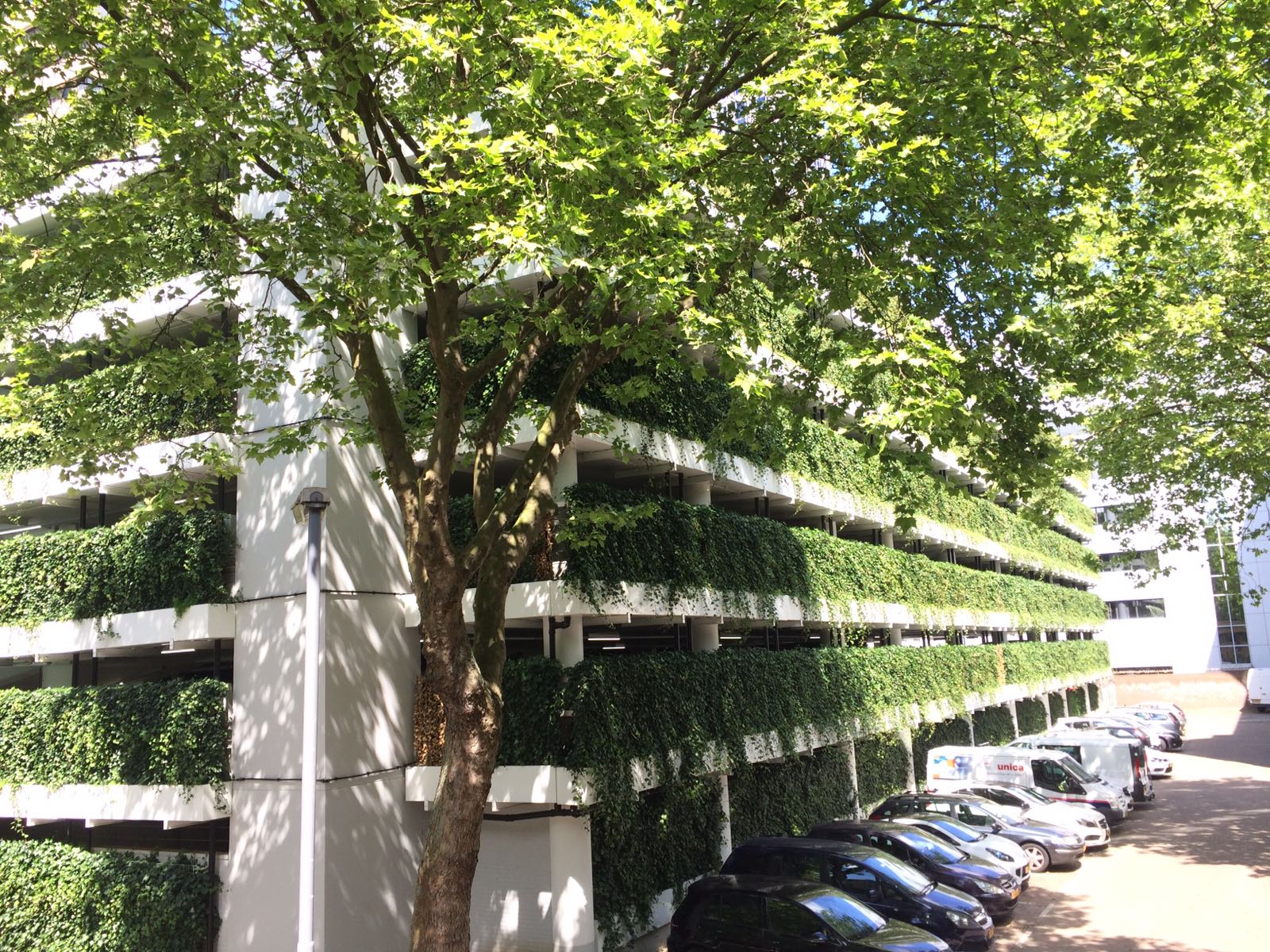 WallPlanter detail