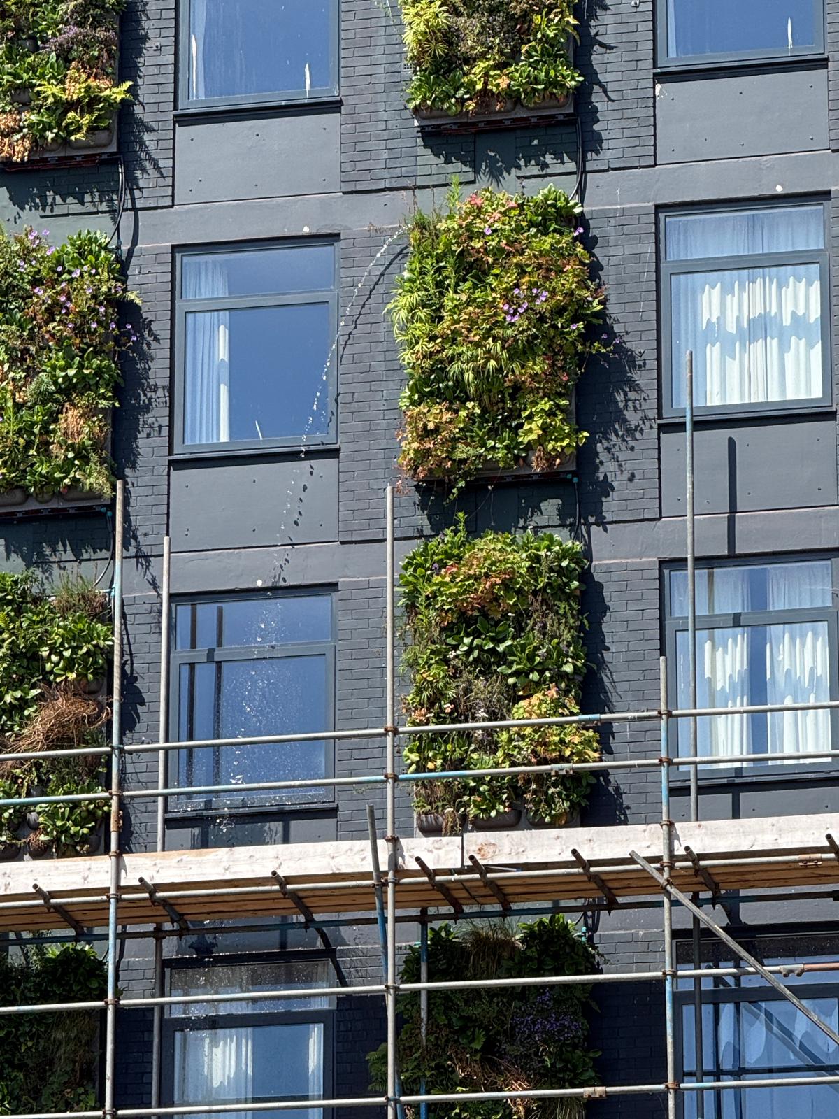 The Dragon Hotel green wall installation