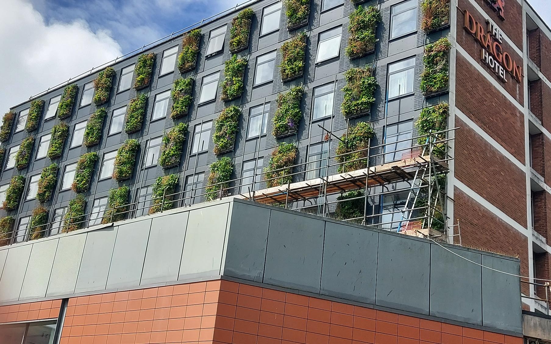 The Dragon Hotel green wall installation